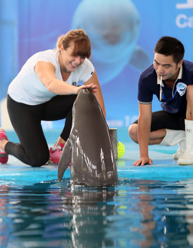 高层甚至曾 高层甚至曾